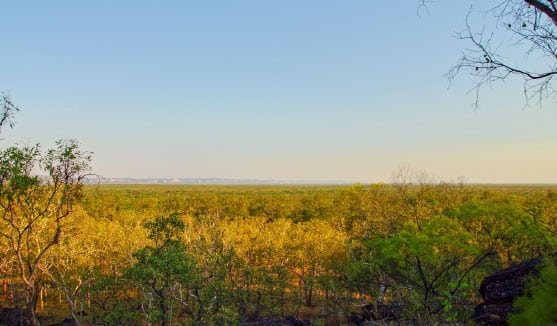 NHULUNBUY